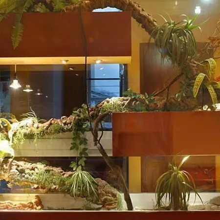 Kristina & Nocleg ze śniadaniem